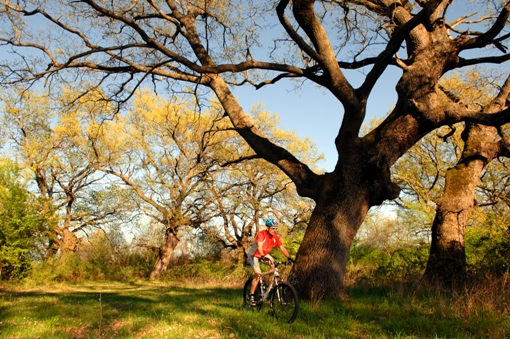 ΠΟΔΗΛΑΣΙΑ ΣΤΗ ΣΑΛΑΜΙΝΑ